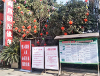 疫情无情人有情，我为抗疫做贡献！