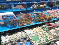 食堂厨具设备厂给你说说商用好色先生APP下载中影响食品安全的因素有哪些
